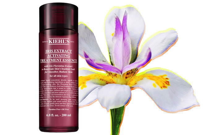   Kiehls