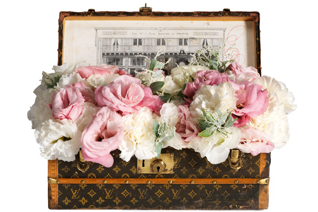    Louis Vuitton:  ,     