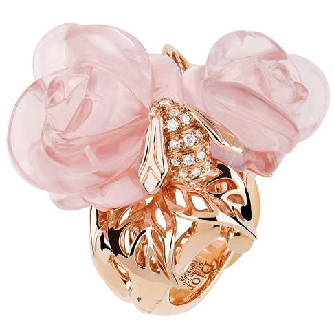  :  Rose Dior Pr Catelan